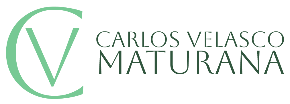 Logo primario